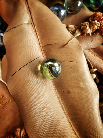 dry leaves and flower background textureの写真素材