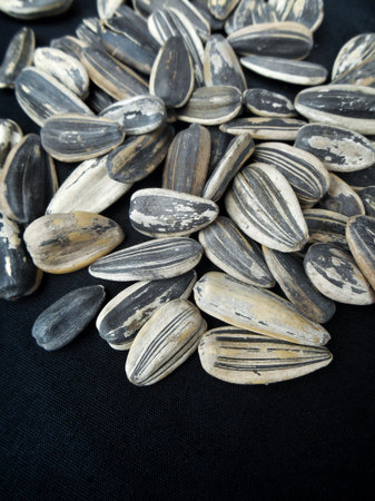 closeup of dry sunflower seeds.