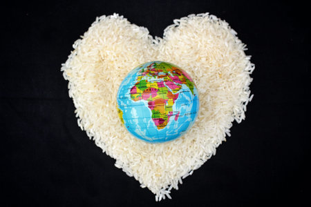 Close up of rice grain and globe