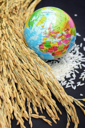 Close up of rice grain and globeの写真素材