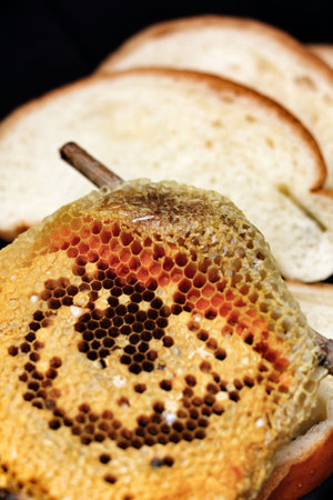 Honeycomb on the branch and bread