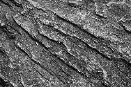 Gray and brown backgroun texture
