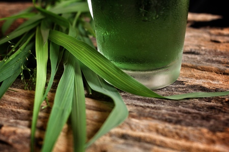 close-up wheat grass juiceの写真素材