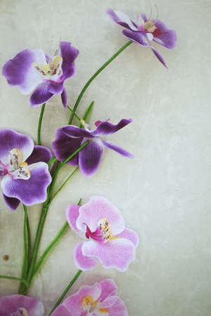 Beautiful orchid of artificial flowersの写真素材