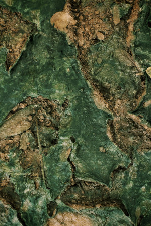 Close-up of cracked dry soil
