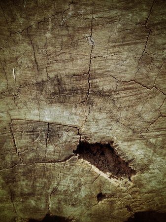 Gray and brown backgroun textureの写真素材