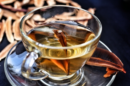 Ganoderma lucidum  and tea cupの写真素材