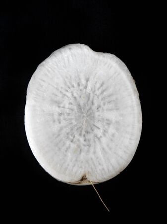 Daikon radish on the black の写真素材