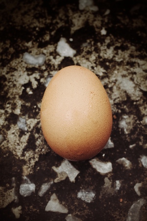 Close-up of fresh eggの写真素材
