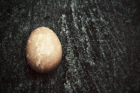 Close-up of fresh egg