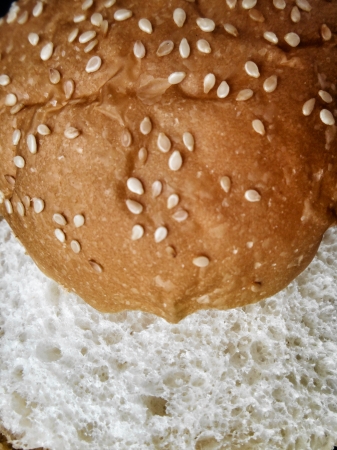 Buns with sesame for hamburgerの写真素材