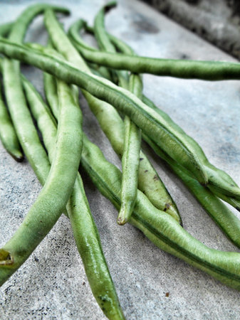 long bean on gray background