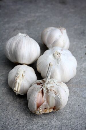 Garlic on the gray backgroundの写真素材