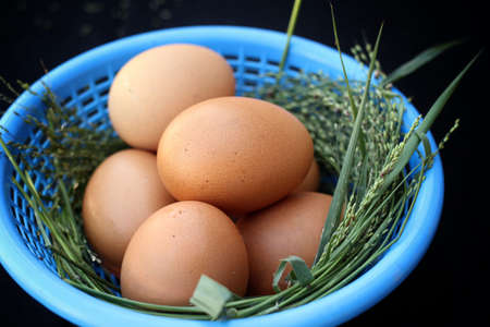 Close-up of eggs in basketの写真素材