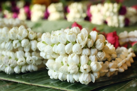 white jasmine garland and red roseの写真素材