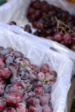 Fresh grapes on the marketの写真素材