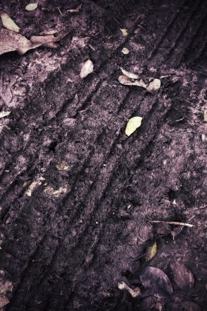 Wheel tracks on the soil.の写真素材