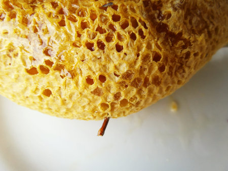 fresh honey in the comb
