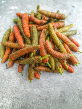 Indian long pepper on gray backgroundの写真素材
