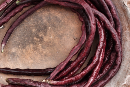 Purple yard long bean  on brown backgroundの写真素材