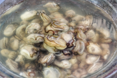Freshly oysters at fishing portの写真素材