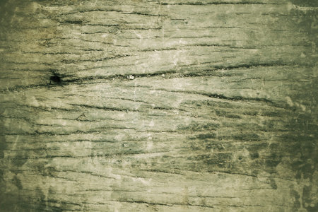 green wood background textureの写真素材
