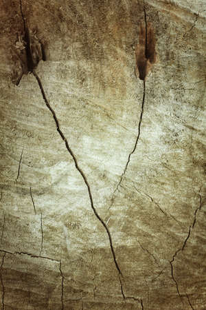 Old wood background textureの写真素材