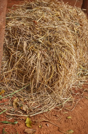 Haystacks on the fieldの写真素材