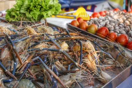 Fresh shrimp in the marketの写真素材