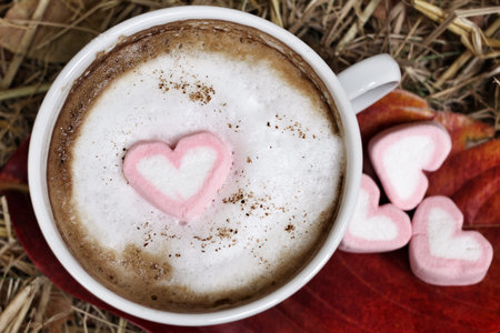 Hot chocolate with heart pink marshmallow for valentine's day