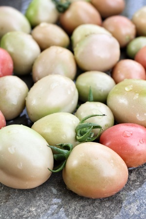 Fresh tomatoes on gray backgroundの写真素材
