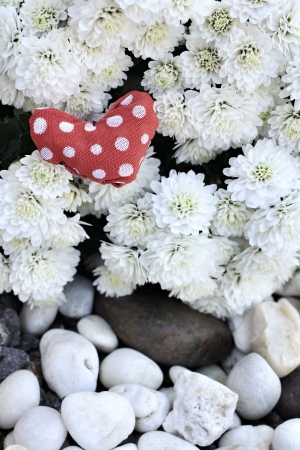red fabric heart on flowers for valentines dayの写真素材