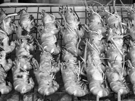 delicious prawn on the grill - BBQ shrimpの写真素材