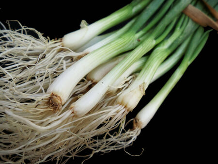 Spring onions on black backgroundの写真素材