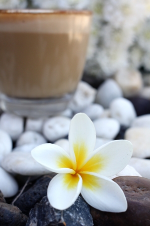 Cup with hot cappuccino and plumeria flowerの写真素材
