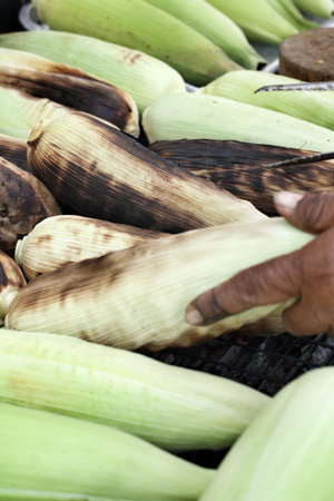 Roasted barbecue corn - BBQ corn
