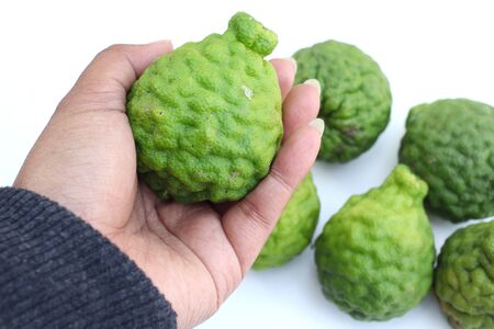 Fresh kaffir on the white backgroundの写真素材