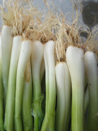 close up of spring onionsの写真素材