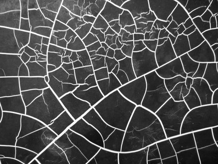 Cracks of car peeling paint