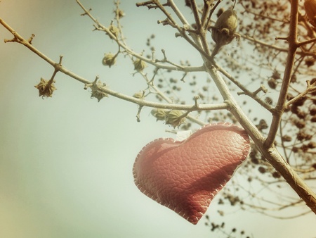 vintage leather heart on tree for valentine dayの写真素材