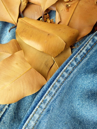 vintage jeans with seams on dry leavesの写真素材