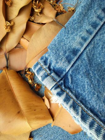 vintage jeans with seams on dry leavesの写真素材