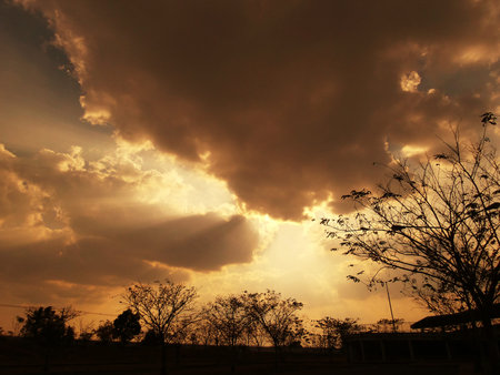 Spring tree with sky