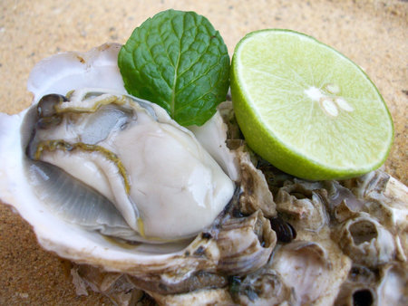 Fresh raw oysters pepper mint leaves and lemon