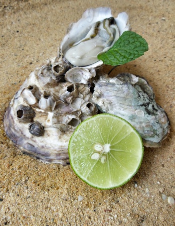 Fresh raw oysters pepper mint leaves and lemonの写真素材