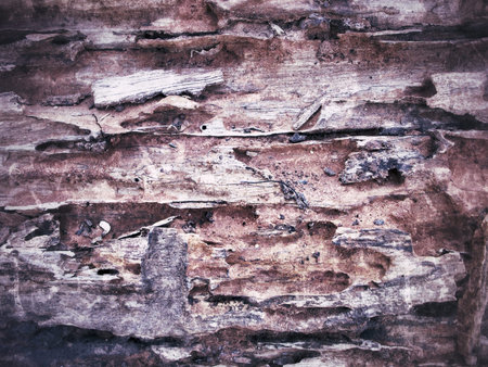 Vintage old wood background texture