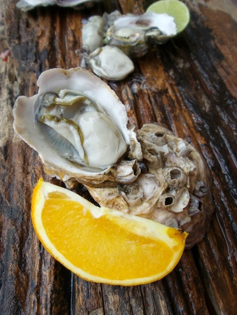 Close up of fresh oysters and orange fruitの写真素材