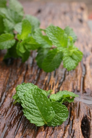 Pepper mint leaves on old wood backgroundの写真素材