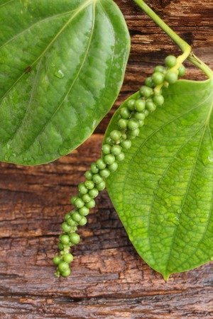 Close up of fresh green peperの写真素材