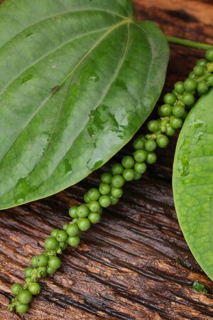 Close up of fresh green peperの写真素材